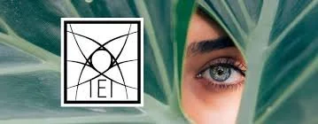 Michiana Ophthalmology Michiana Ophthalmology